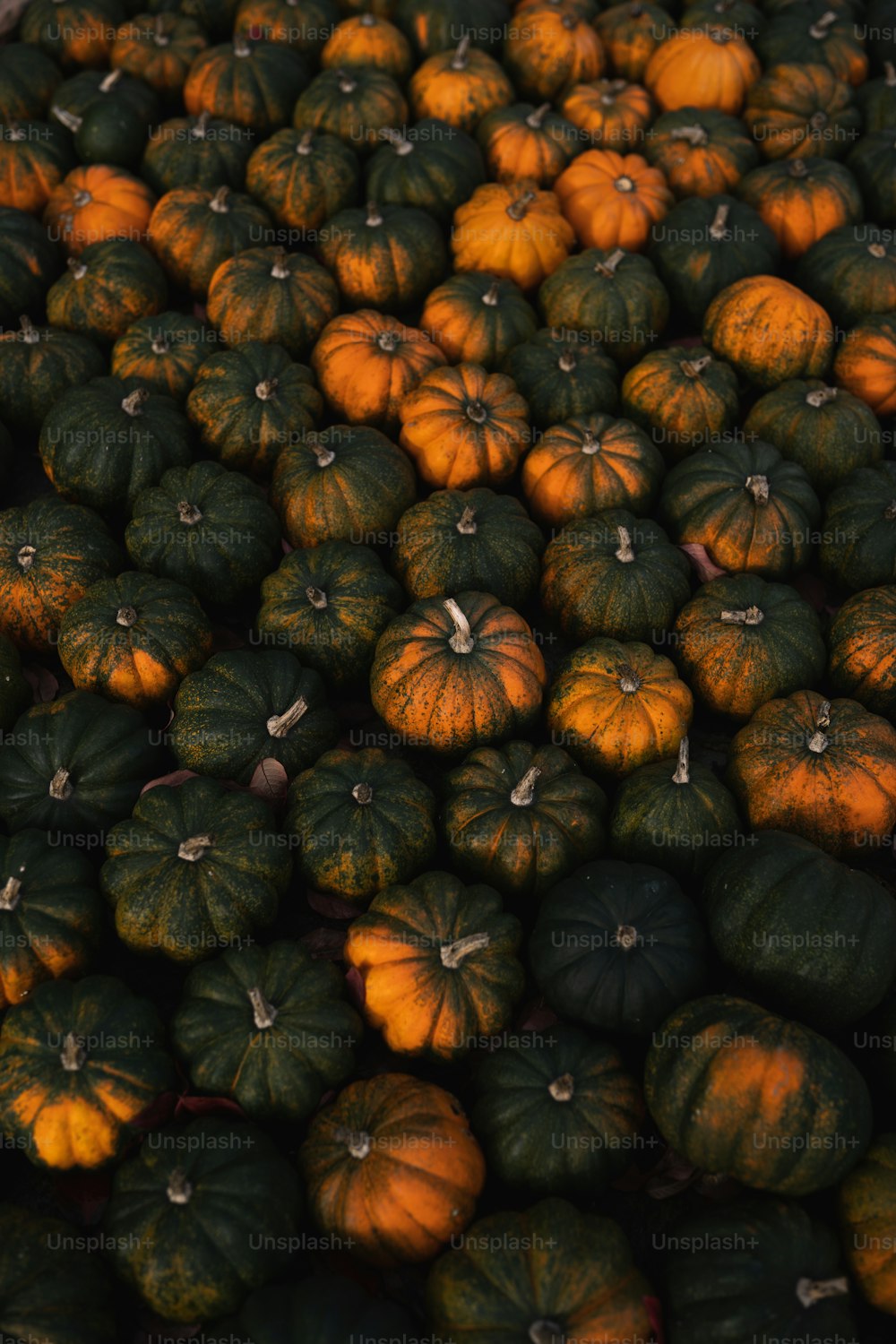 a large pile of pumpkins sitting next to each other