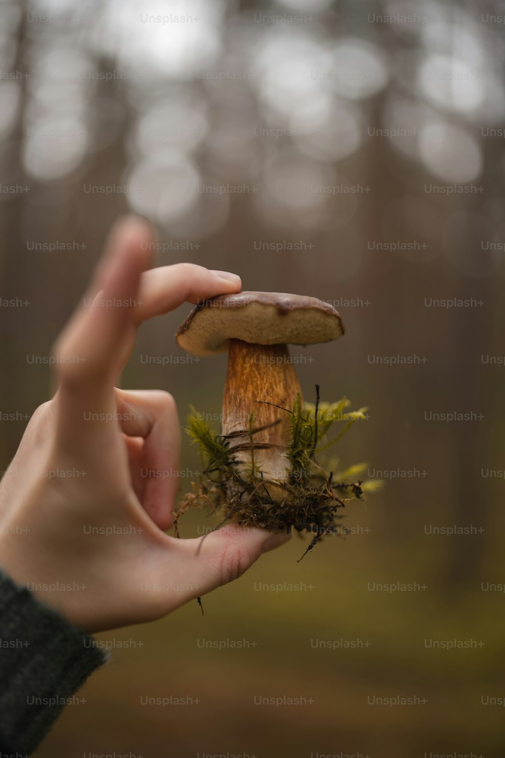손에 작은 버섯을 들고 있는 사람