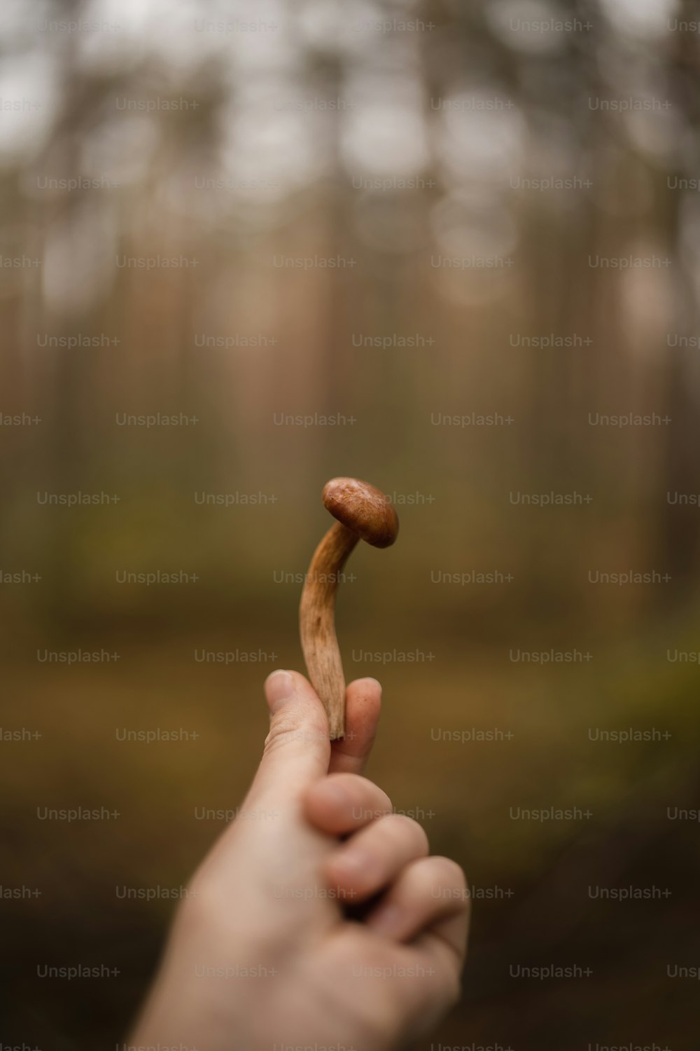 a person holding a piece of food in their hand