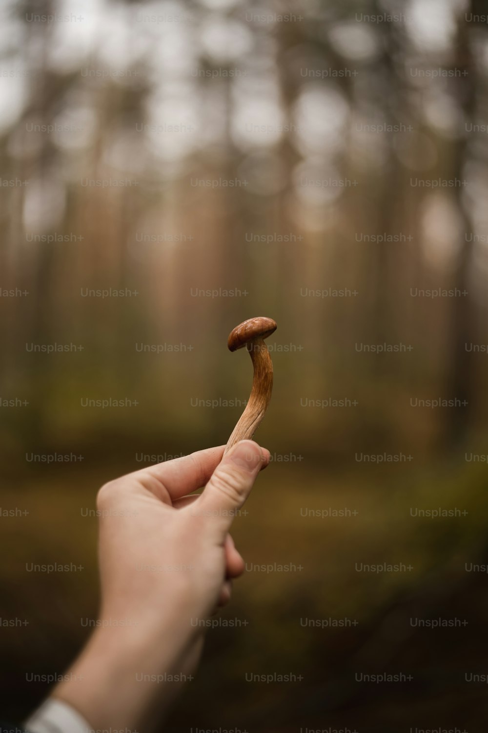 une personne tenant un morceau de nourriture dans sa main