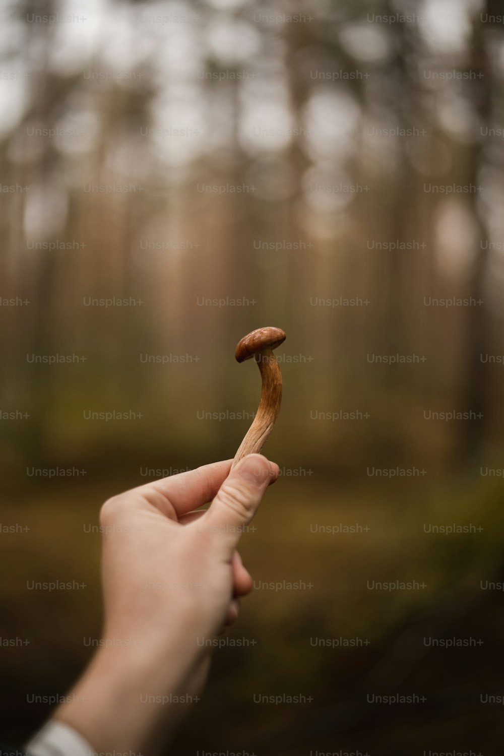 a person holding a piece of food in their hand