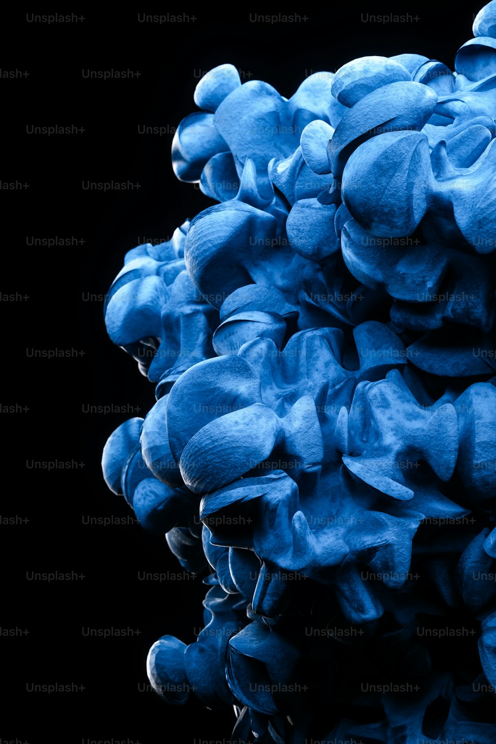 a bunch of blue flowers on a black background