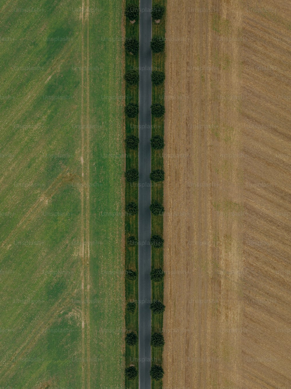 una vista aerea di una strada in un campo