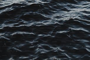Eine Nahaufnahme eines Gewässers mit Wellen