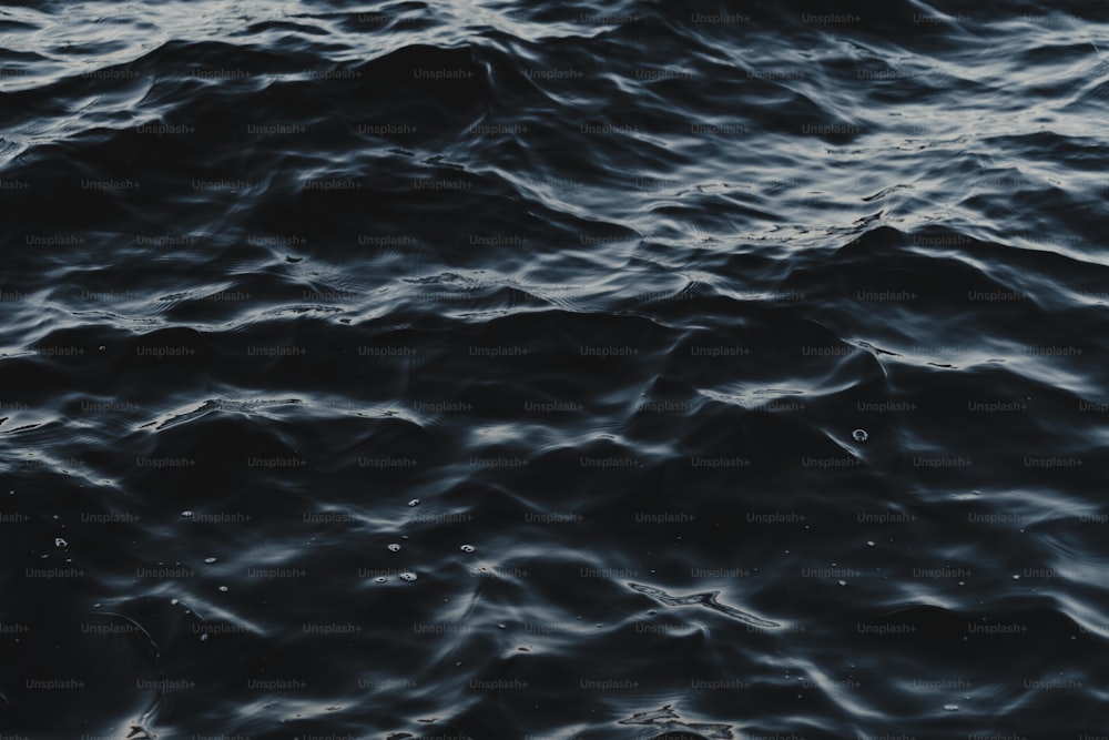 Un primer plano de un cuerpo de agua con olas