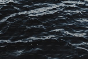 uma foto em preto e branco de um corpo de água
