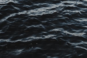 a black and white photo of a body of water