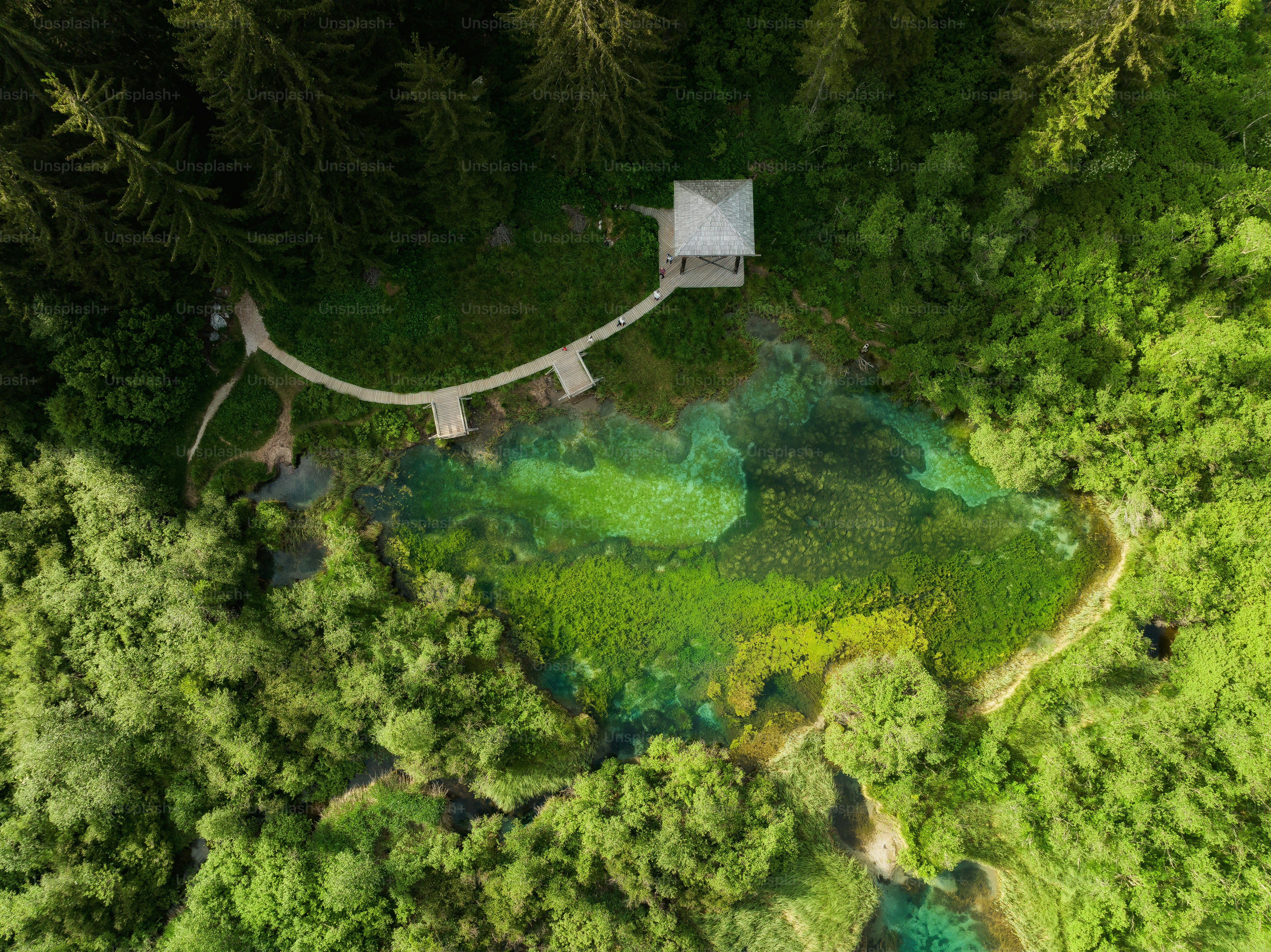 an aerial view of a forest with a small house in the middle of it