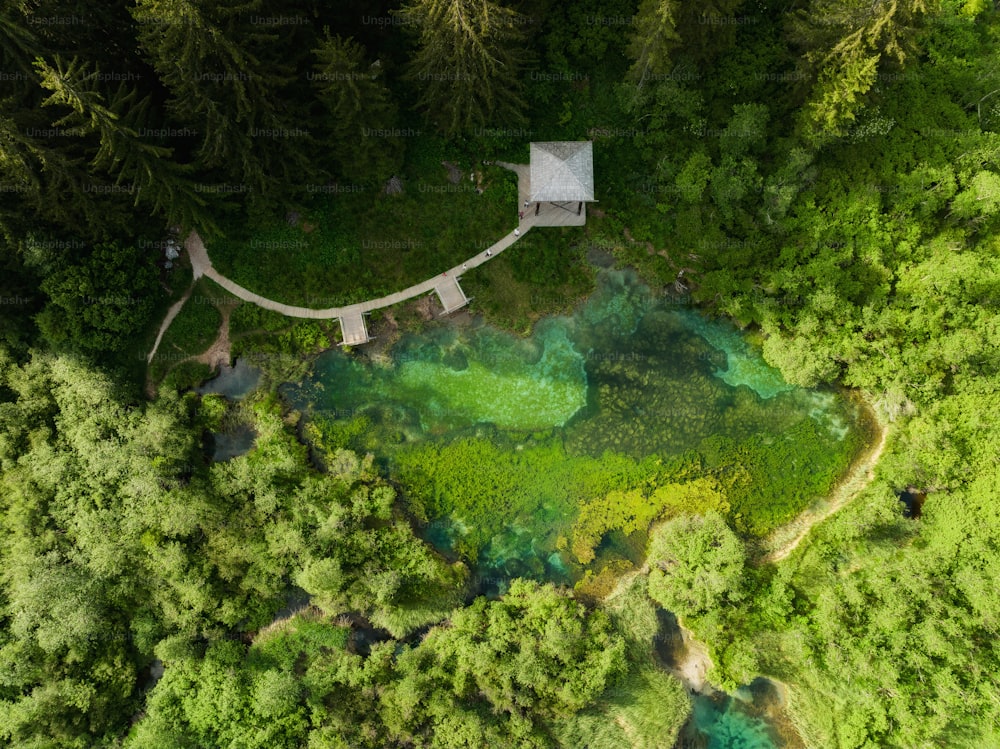 uma vista aérea de uma floresta com uma pequena casa no meio dela