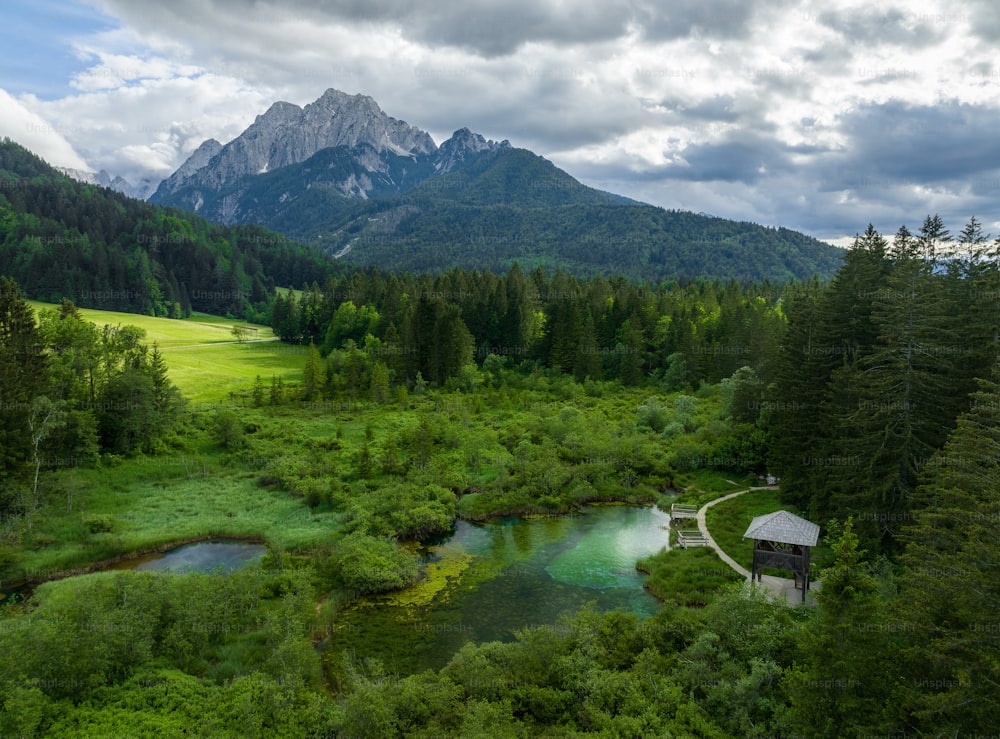 Una valle verde circondata da montagne e alberi