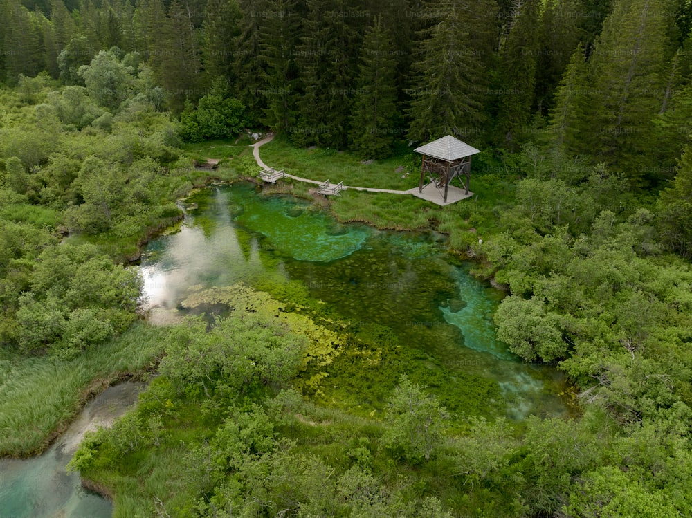 an aerial view of a river surrounded by trees