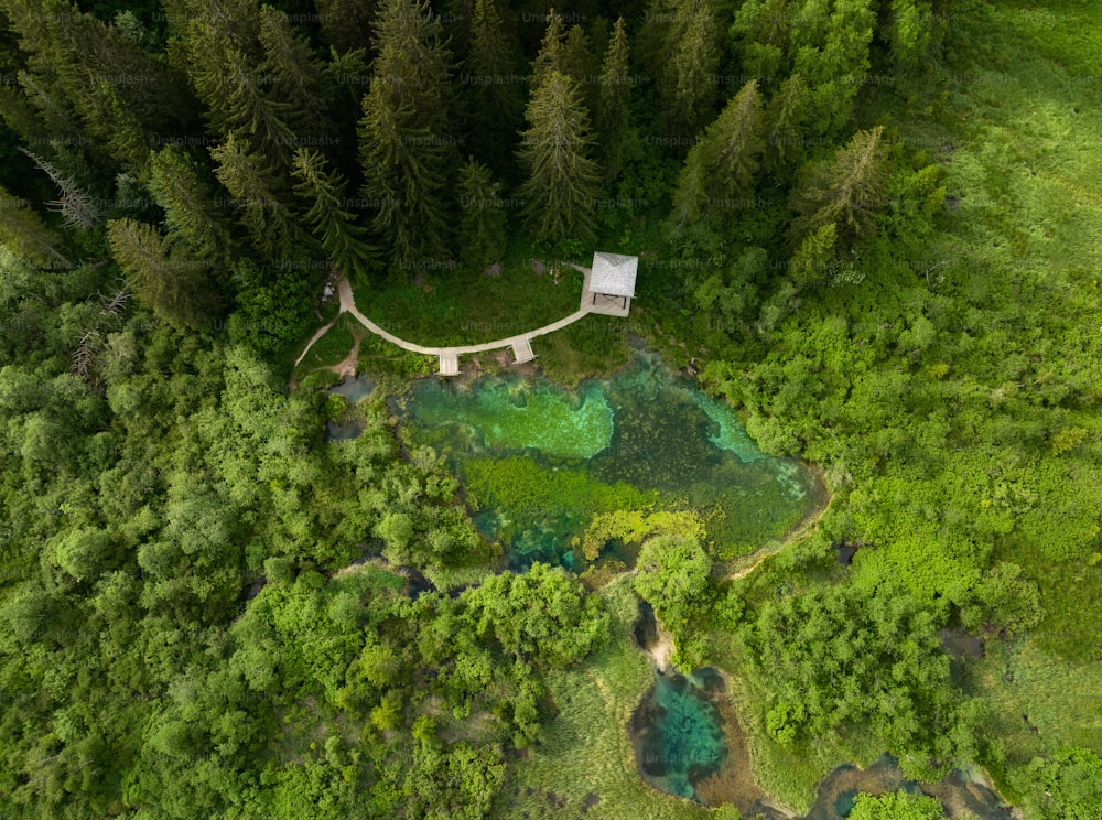 an aerial view of a small house in the middle of a forest