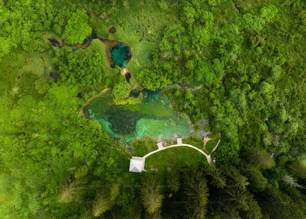 an aerial view of a lush green forest