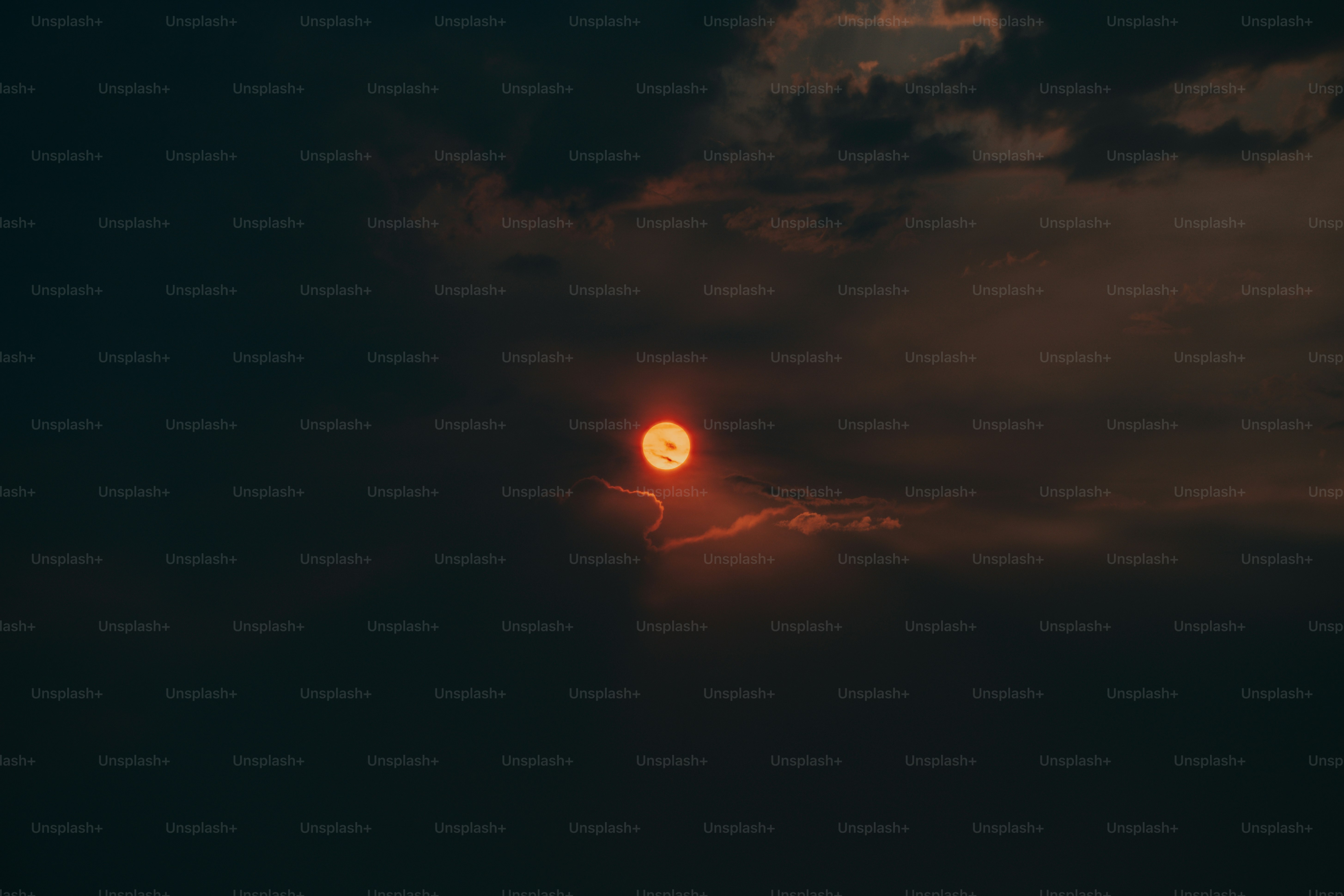 premium_photo-1666874442994-d360ade2f3b0?ixid=M3wxMjA3fDB8MXxzZWFyY2h8Mnx8JUVBJUI0JTkxJUVDJUEzJUJDJUVDJTk1JThDJUVCJUIwJUE0fGVufDB8fHx8MTczNjI5OTkyN3ww\u0026ixlib=rb-4.0.3