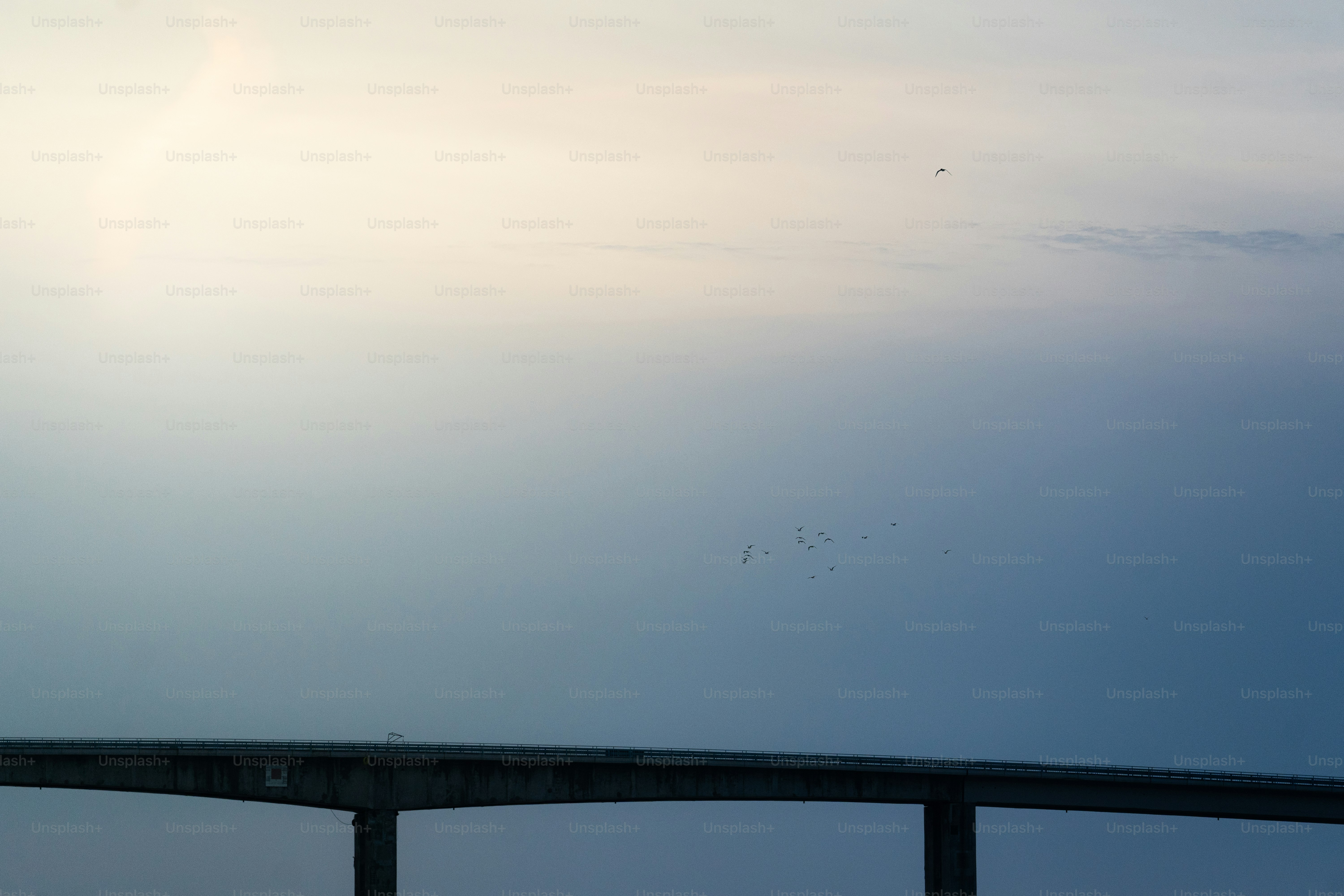 premium_photo-1666874443883-d6e984d8eb3d?ixid=M3wxMjA3fDB8MXxzZWFyY2h8MTkzfHxzbW9rZSUyMHNob3BzJTIwbmVhciUyMG1lfGVufDB8fHx8MTczODE0Nzk3Mnww%5Cu0026ixlib=rb-4.0.3