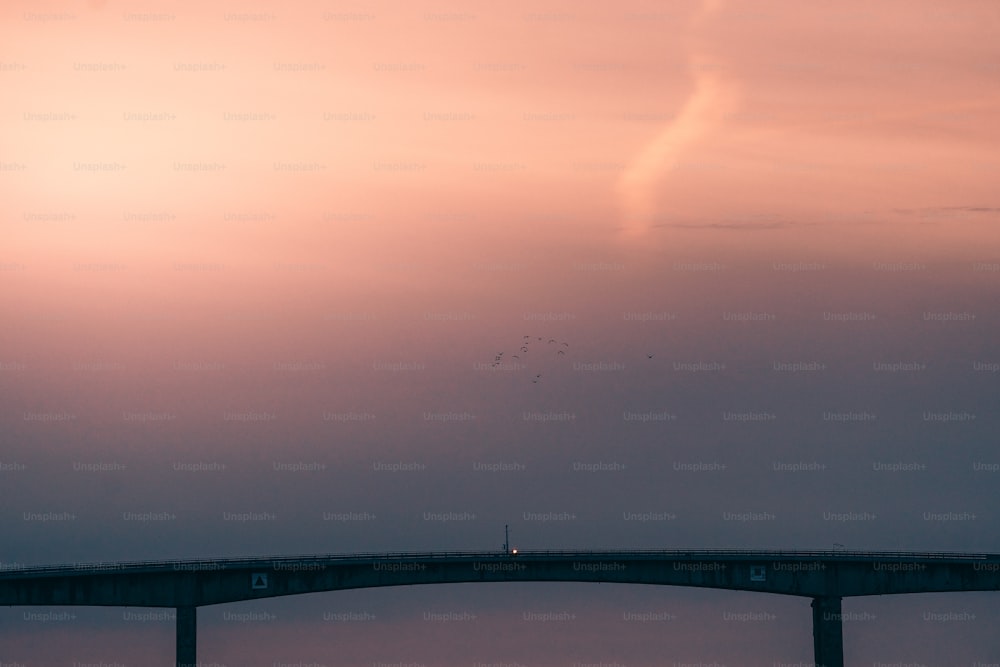 a bridge that has birds flying over it