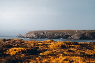 uma vista de um corpo de água com uma ilha rochosa ao fundo