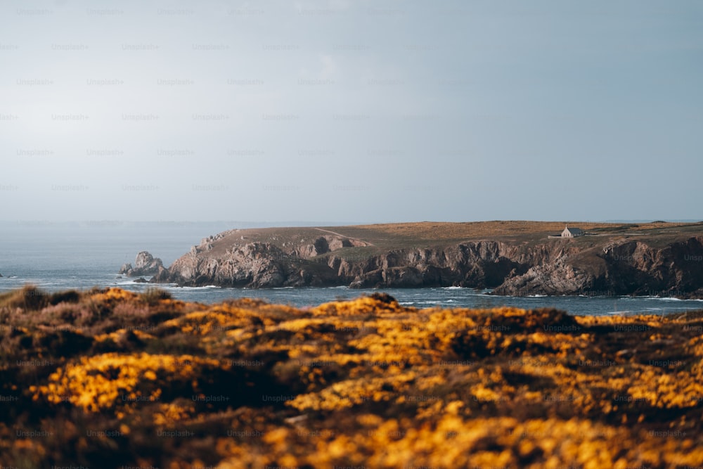 une vue d’un plan d’eau avec un îlot rocheux en arrière-plan