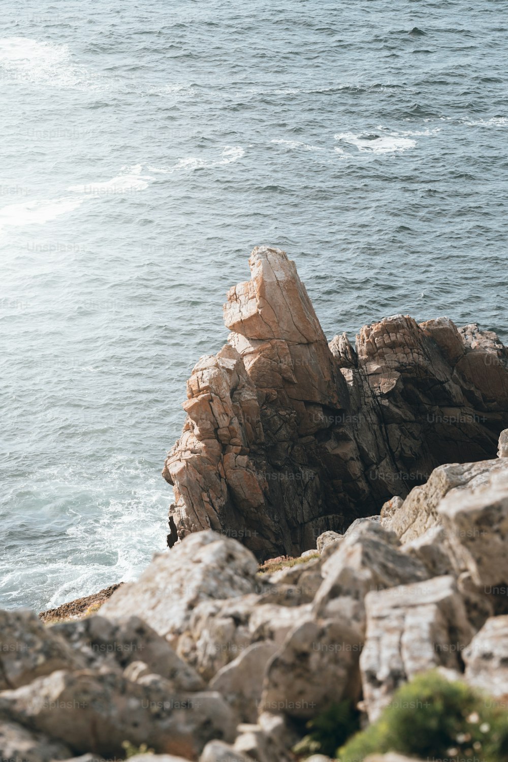 a bird sitting on top of a rock near the ocean