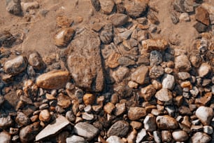 a bunch of rocks that are laying on the ground