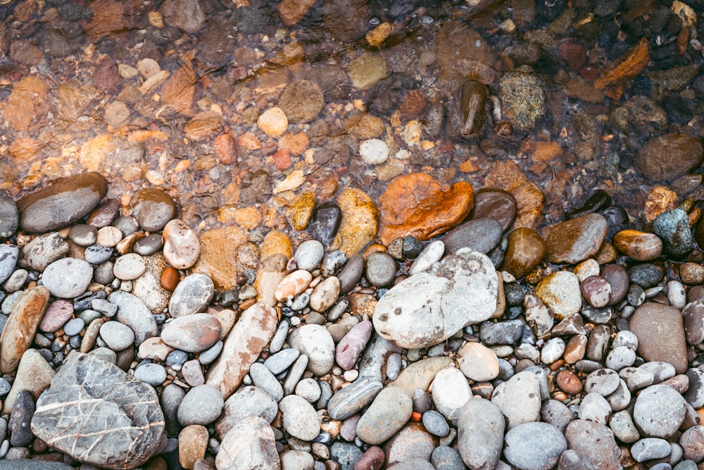 a bunch of rocks that are laying on the ground