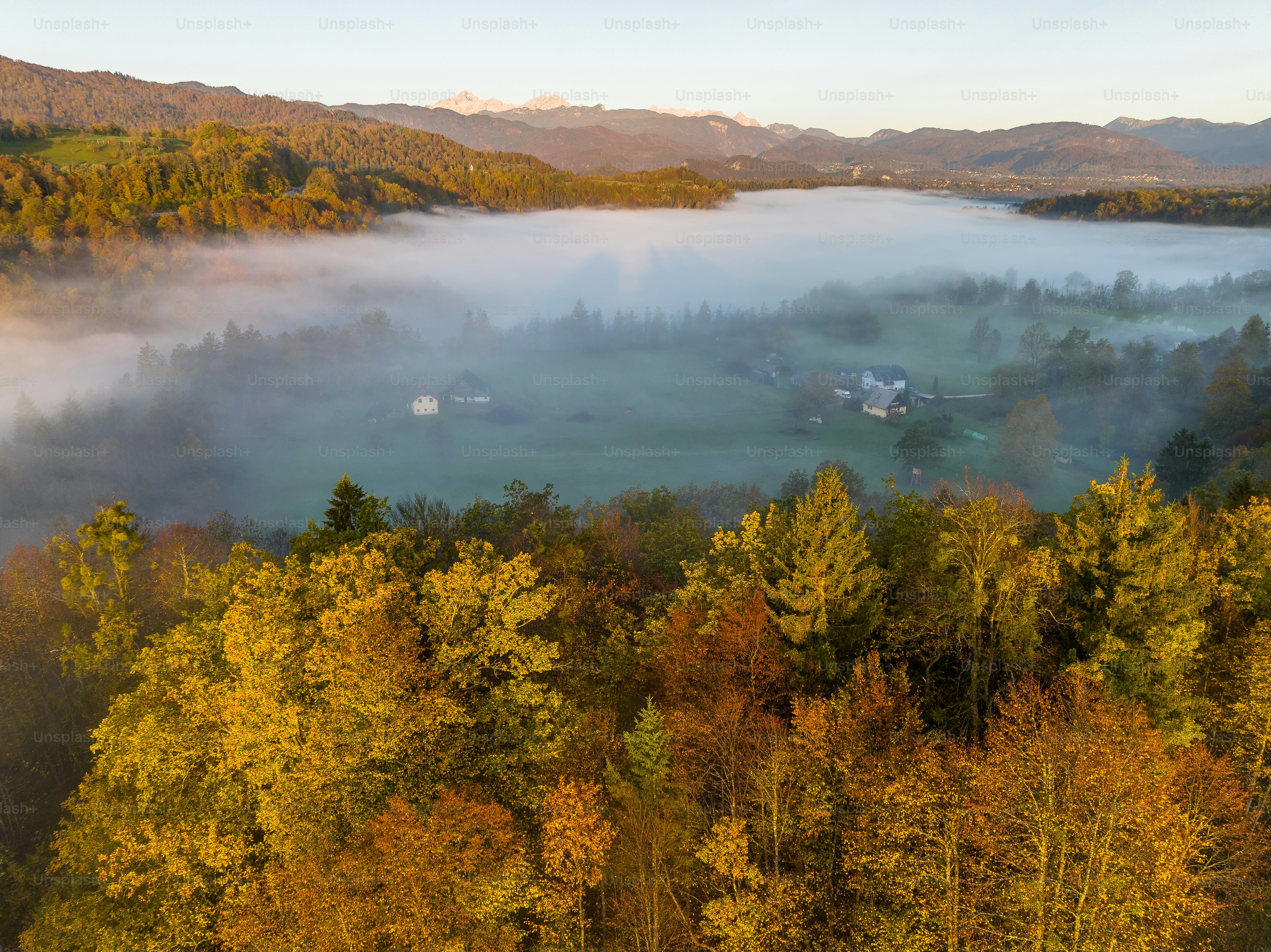 Eine Luftaufnahme eines nebligen Tals, umgeben von Bäumen