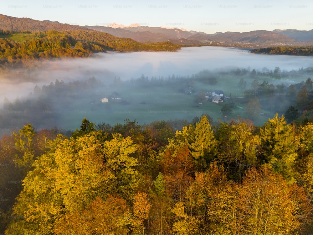 an aerial view of a foggy valley surrounded by trees