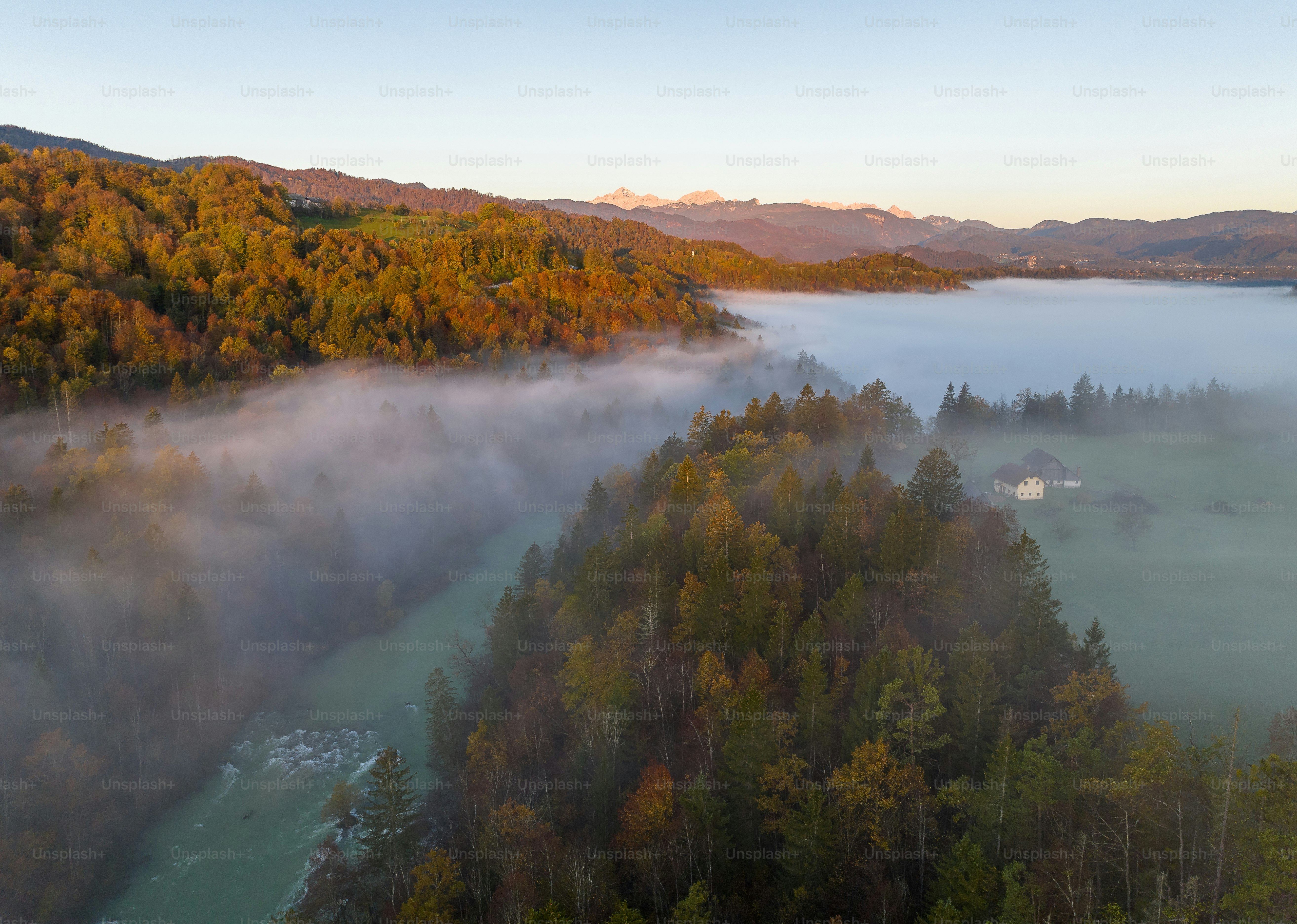 Eine Luftaufnahme eines Flusses, der von Bäumen umgeben ist