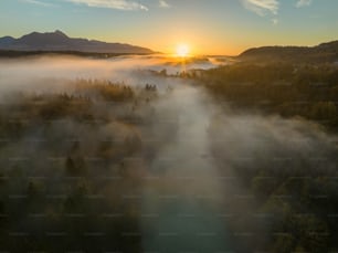Le soleil se couche sur une forêt brumeuse
