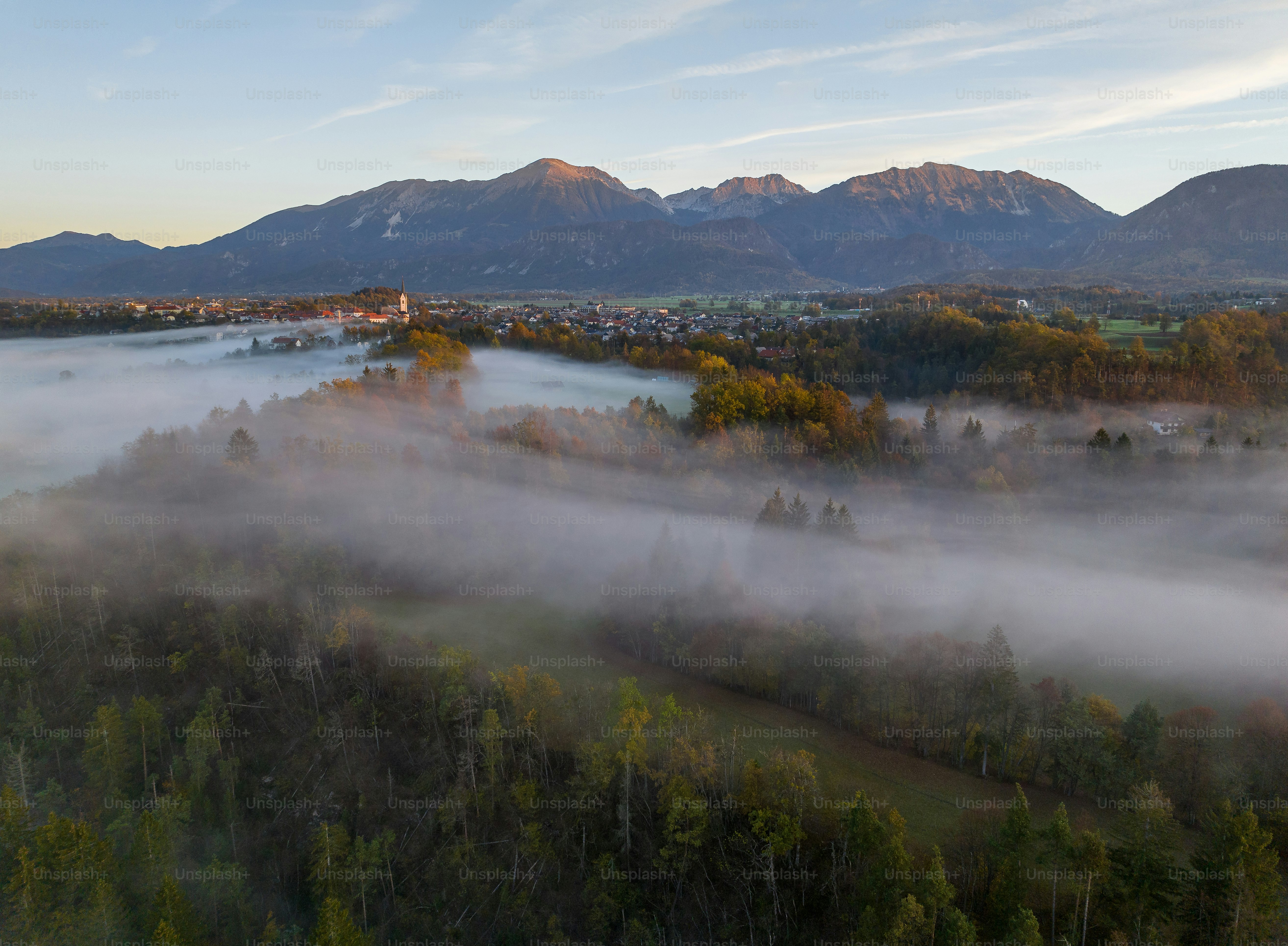 Ein malerischer Blick auf eine Stadt, die von Bäumen umgeben ist