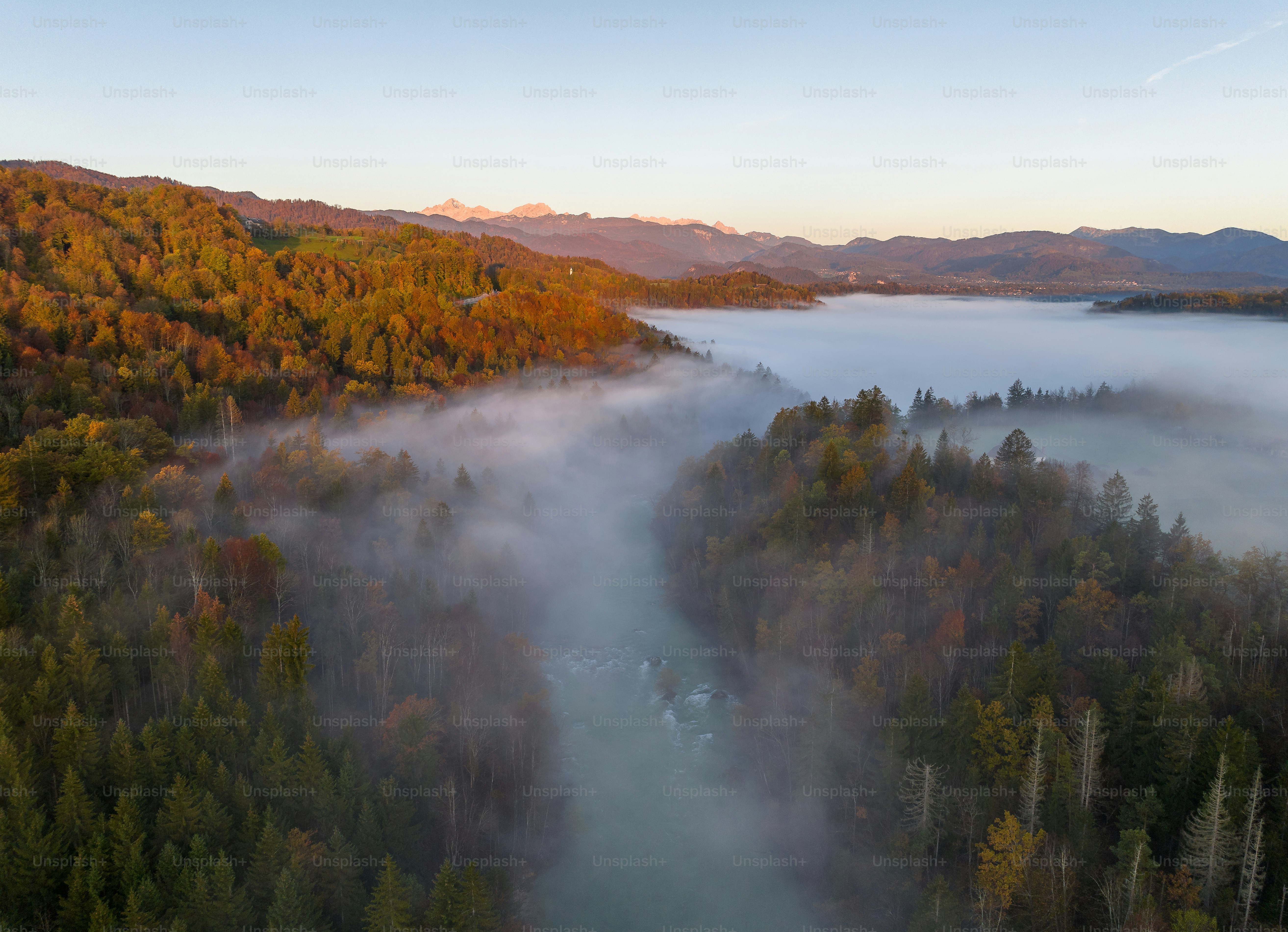 Eine Luftaufnahme eines Flusses, der von Bäumen umgeben ist