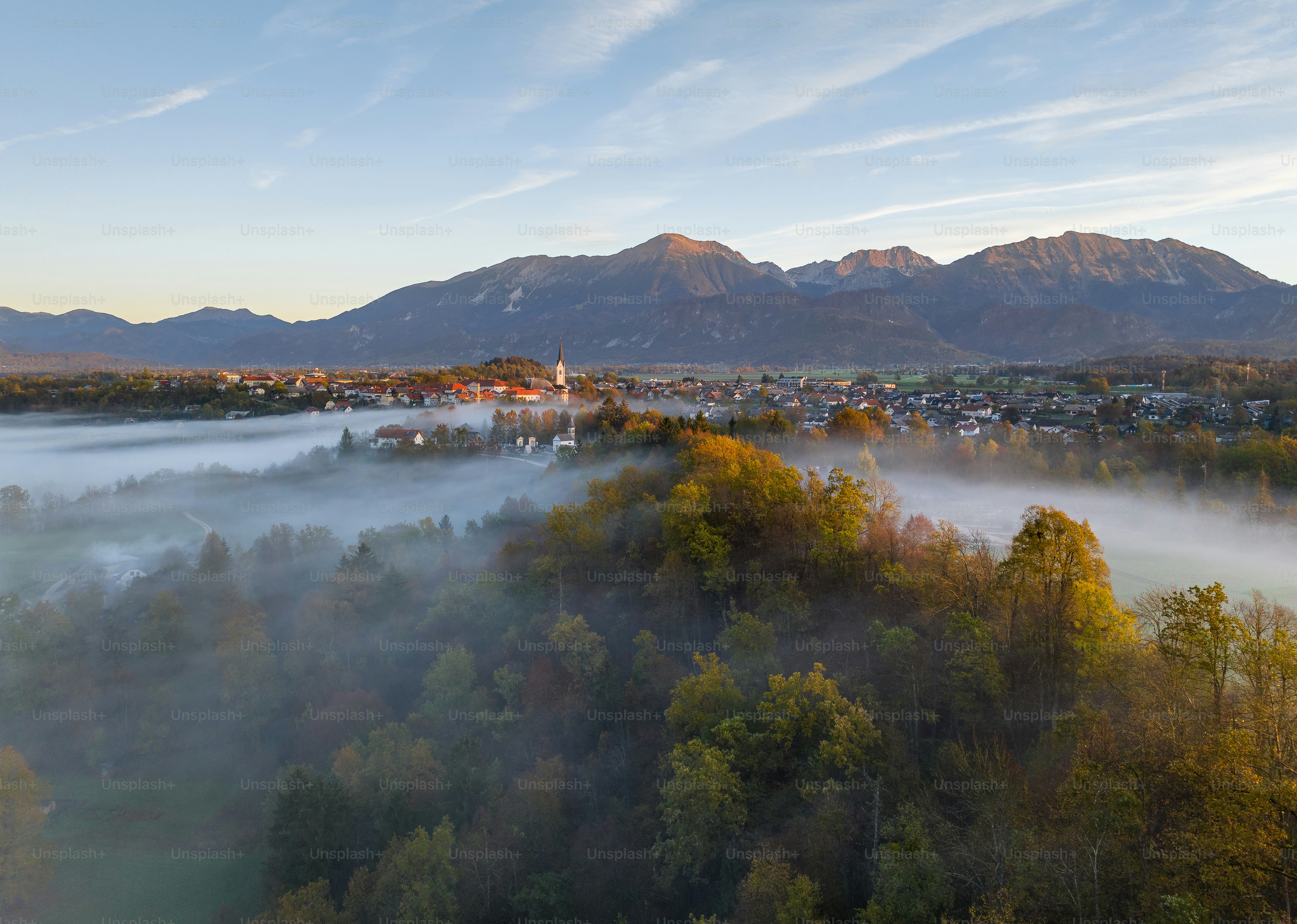 Eine von Bäumen umgebene Stadt inmitten eines Waldes