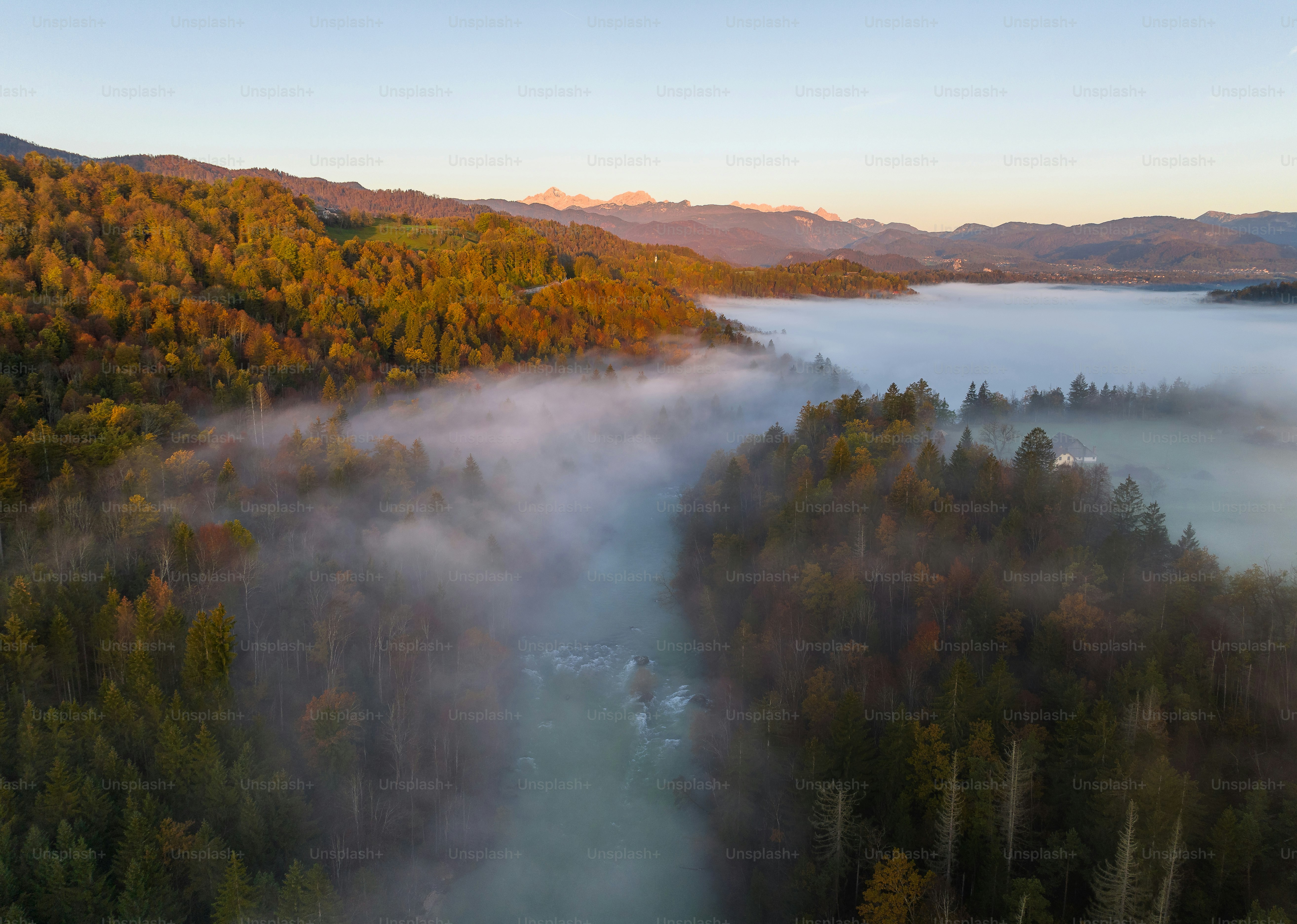 an aerial view of a river surrounded by trees