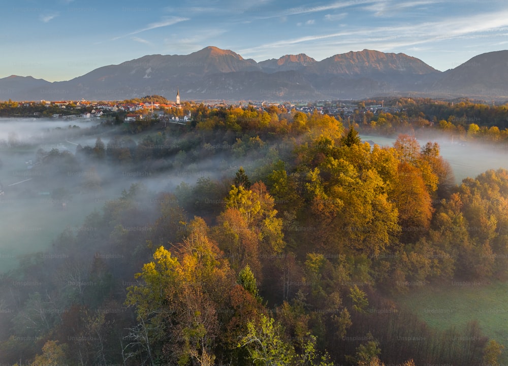 an aerial view of a town surrounded by trees