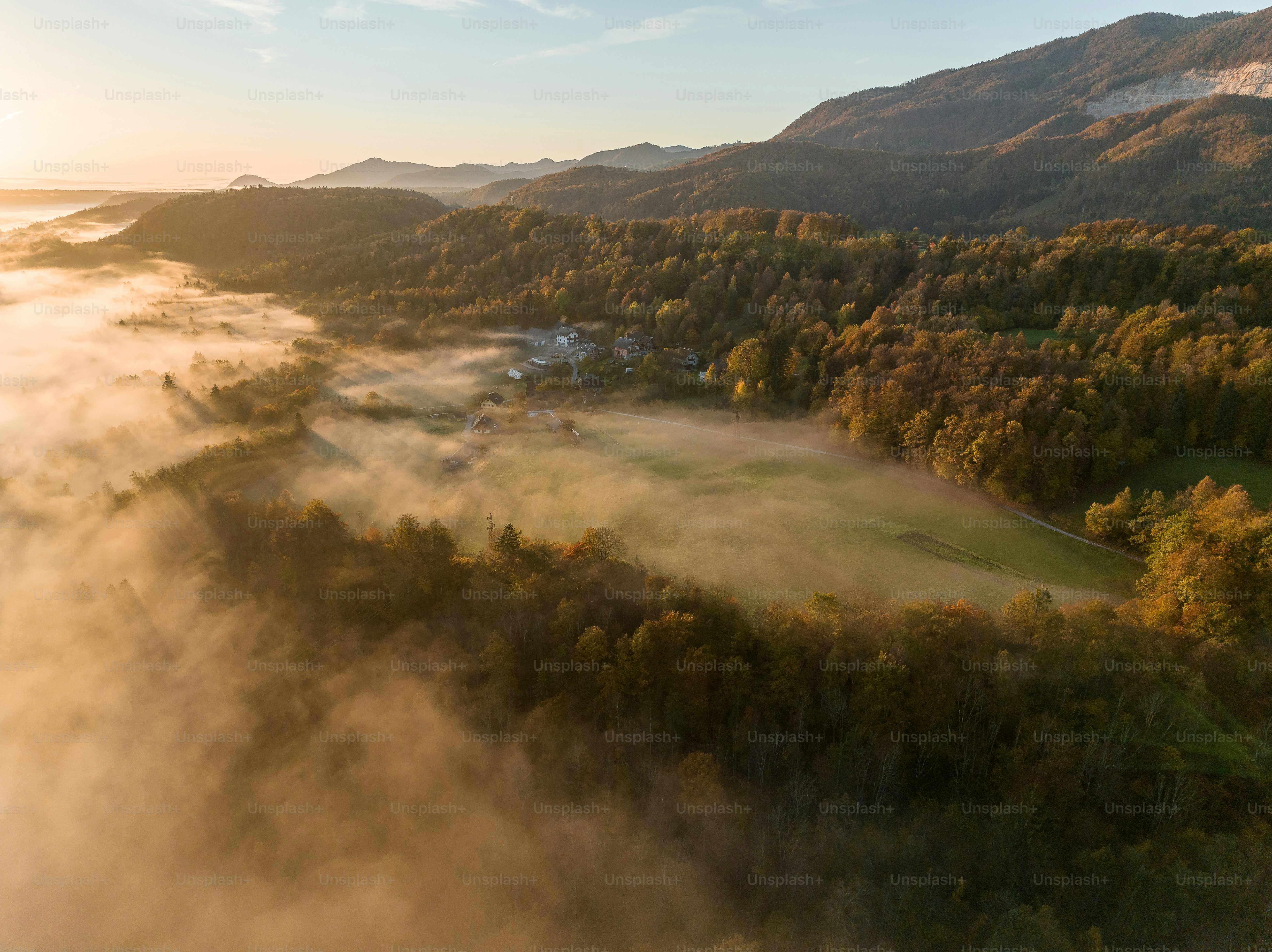 Eine Luftaufnahme eines Tals, das von Bäumen umgeben ist
