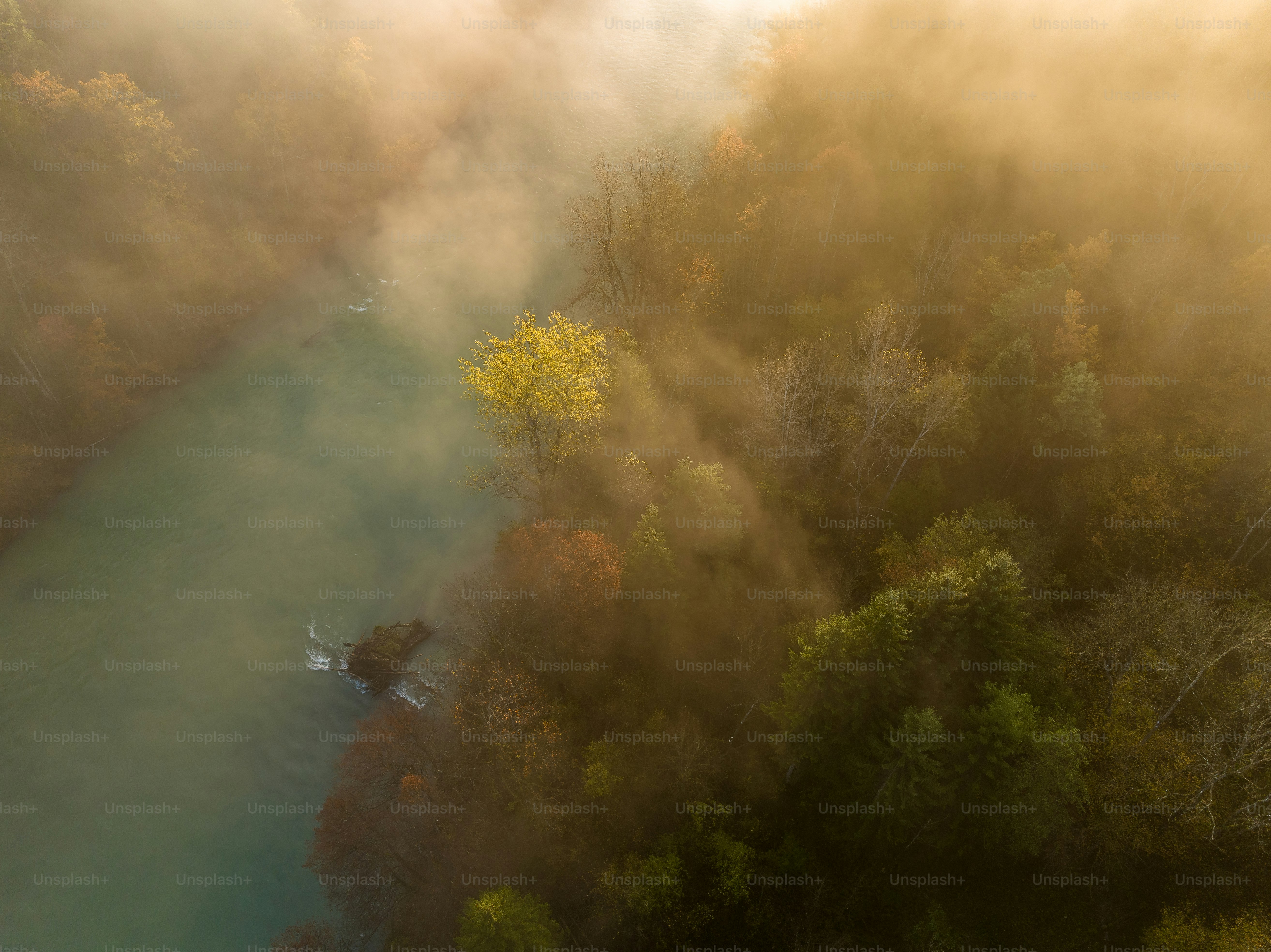 An aerial view of a river surrounded by trees photo – Nature Image on ...