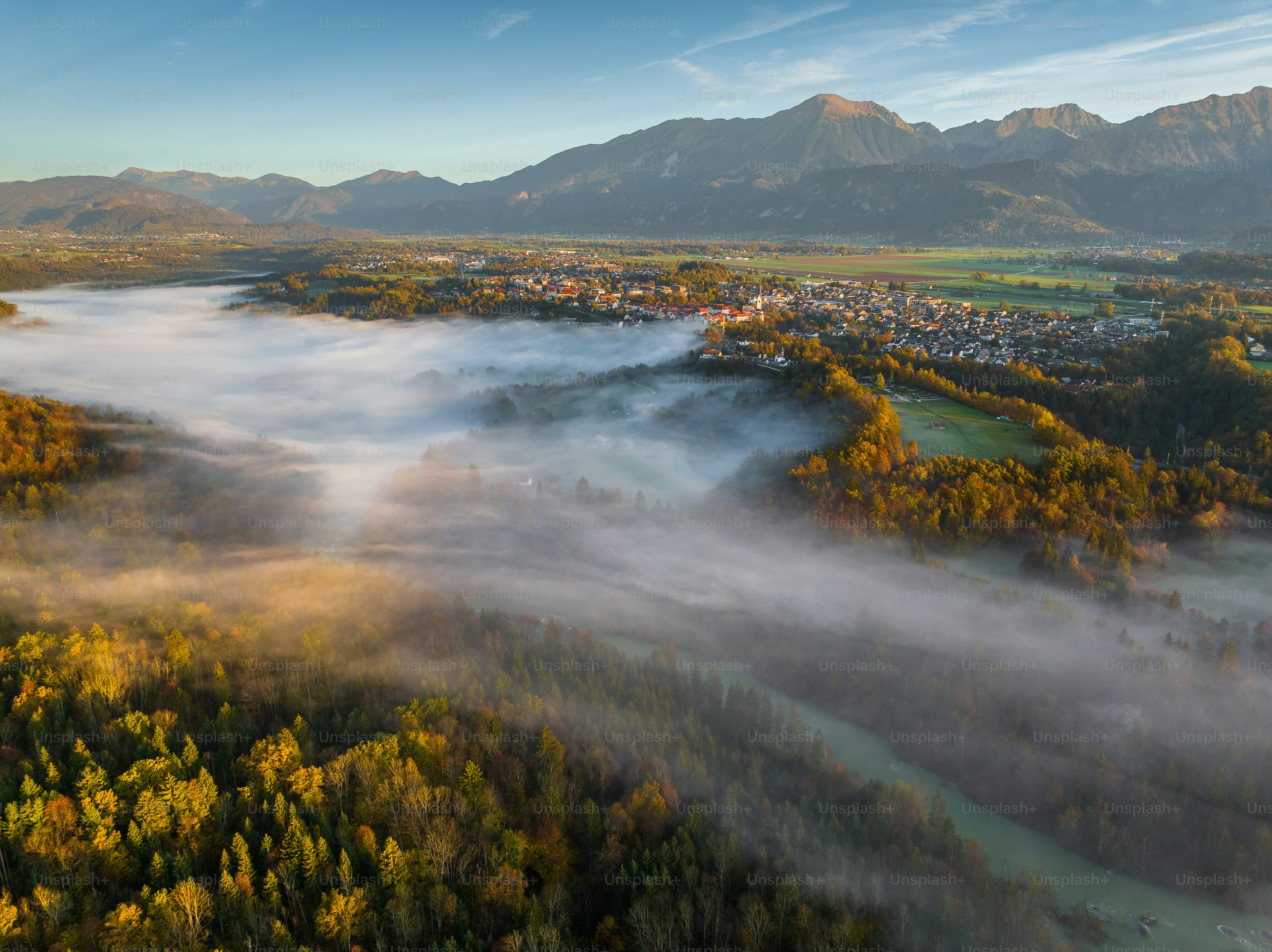 Eine Luftaufnahme einer Stadt, die von Bäumen umgeben ist