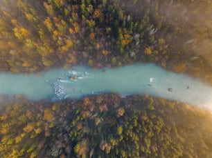 an aerial view of a body of water surrounded by trees