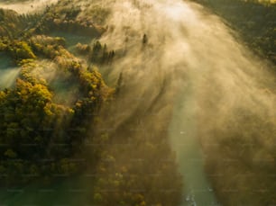 an aerial view of a river surrounded by trees