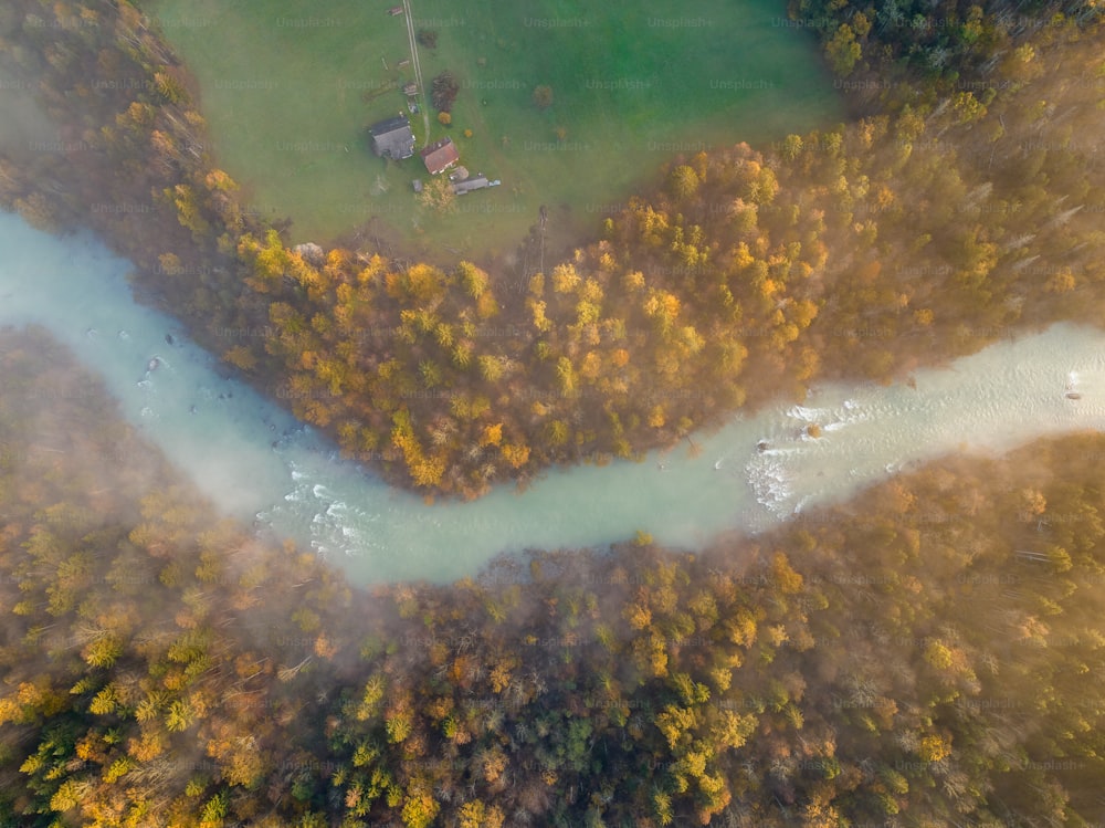 Eine Luftaufnahme eines Flusses, der von Bäumen umgeben ist