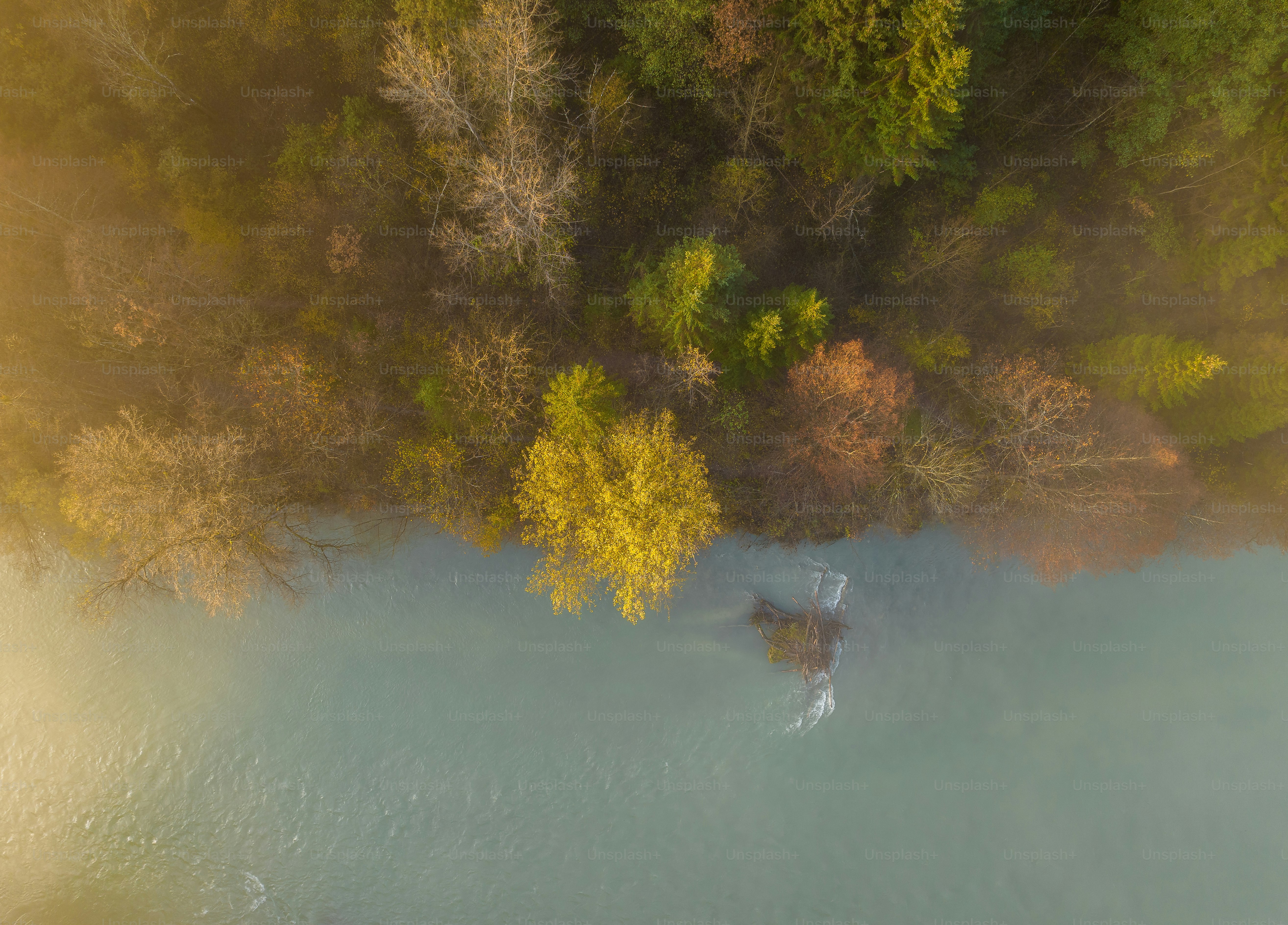 an aerial view of a body of water surrounded by trees