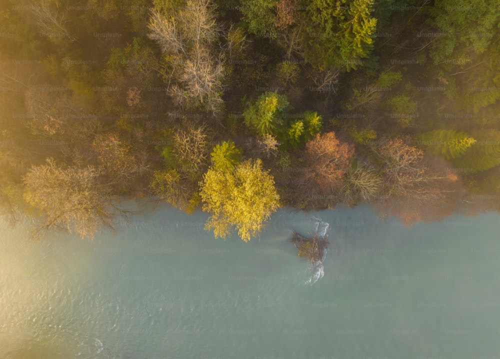 an aerial view of a body of water surrounded by trees