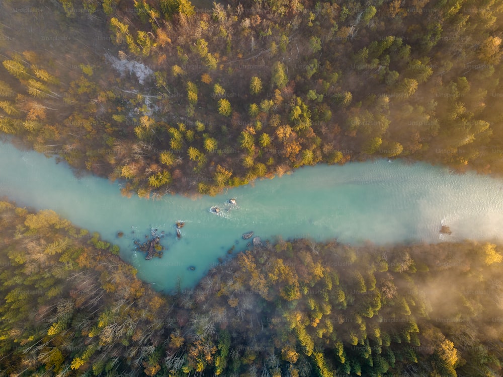 Eine Luftaufnahme eines von Bäumen umgebenen Gewässers