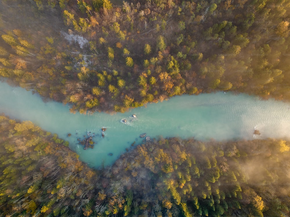 an aerial view of a body of water surrounded by trees