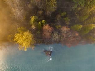 an aerial view of a body of water surrounded by trees