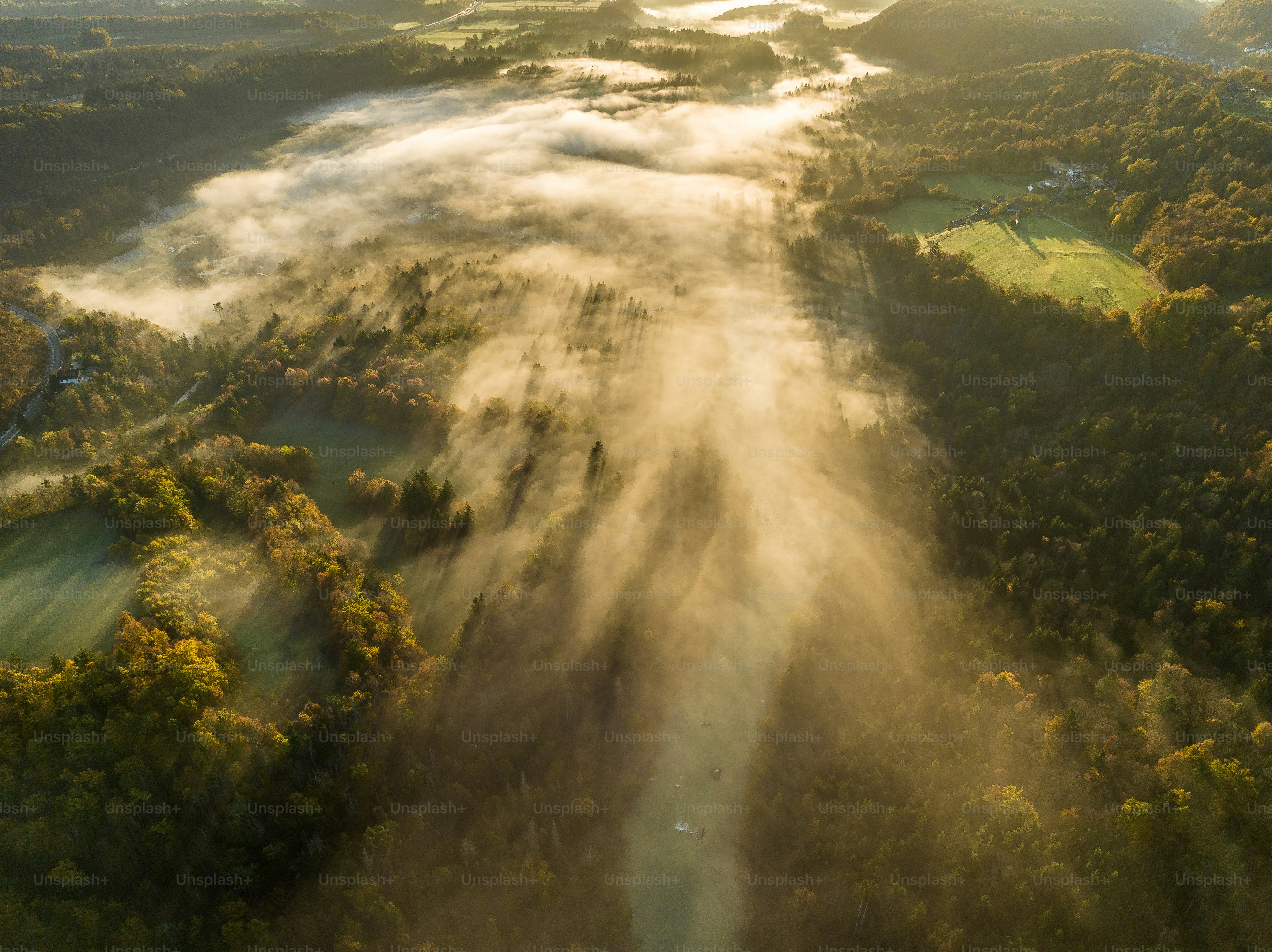 an aerial view of a foggy forest