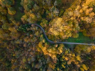 an aerial view of a winding road surrounded by trees