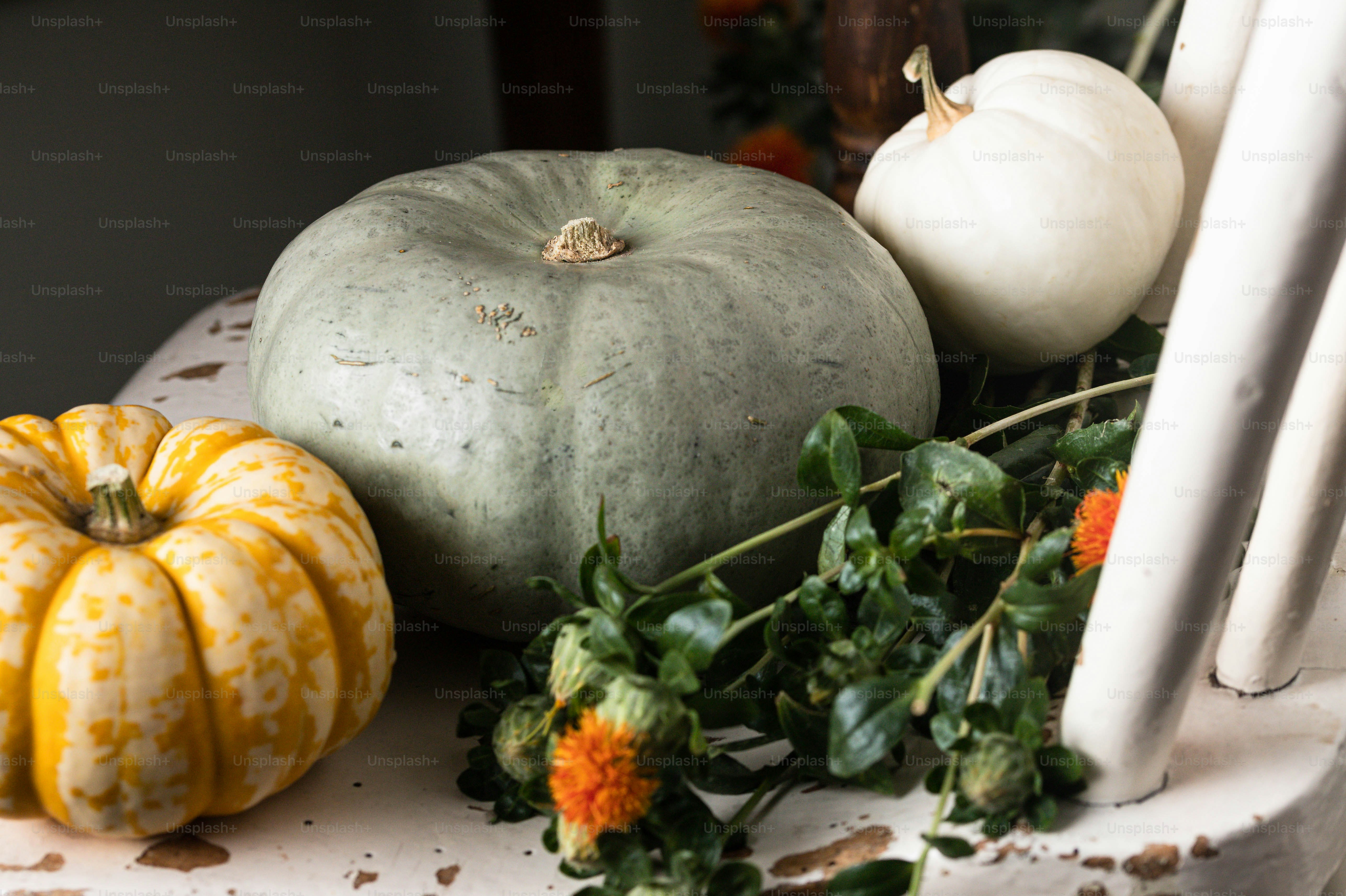 a bunch of different types of pumpkins on a table