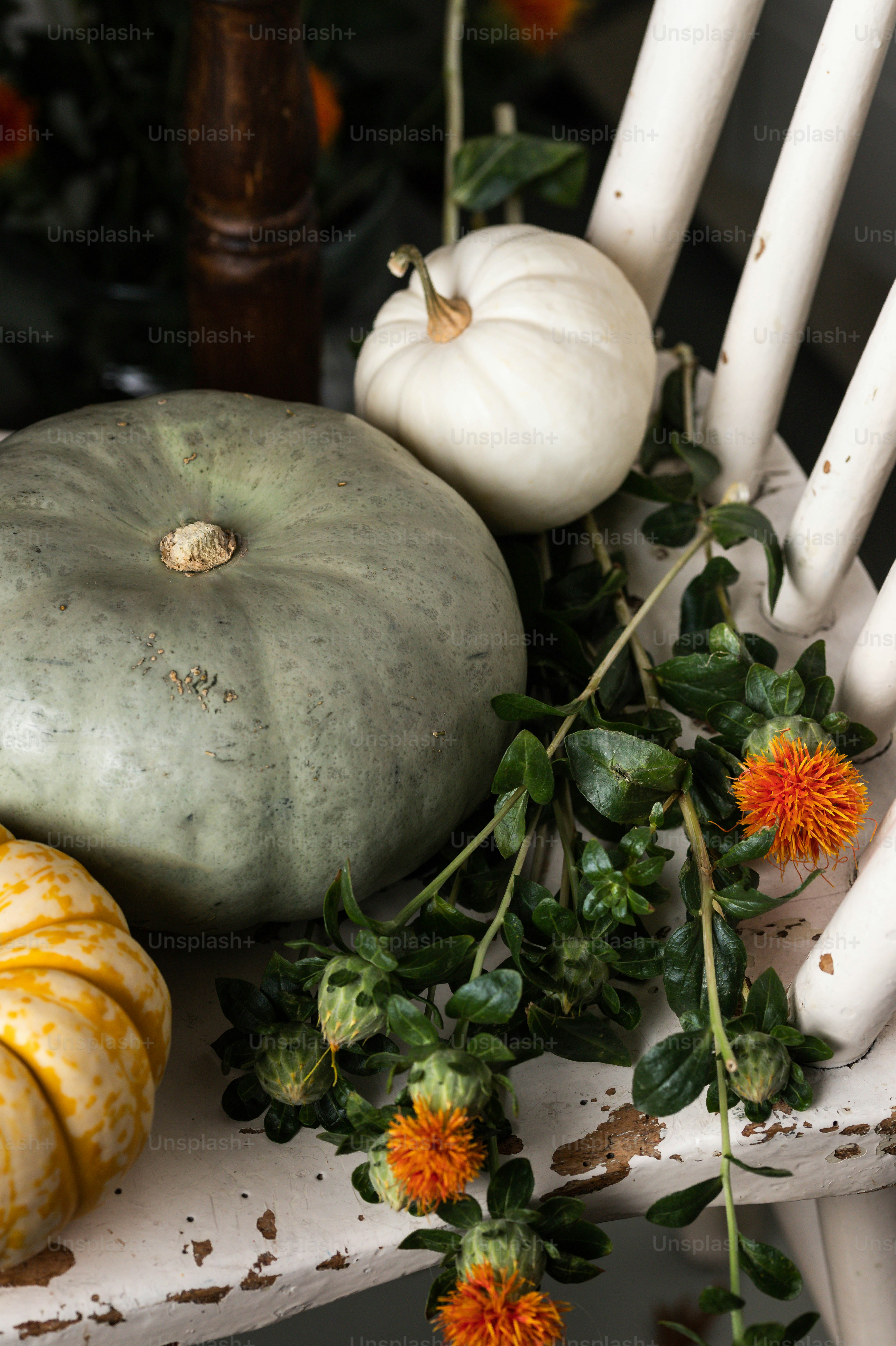 a white chair with a bunch of pumpkins on it