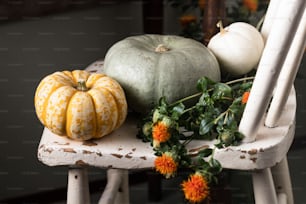 a white chair with a bunch of pumpkins on top of it